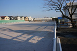 本馬場