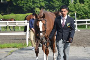 第37回全日本ヤング総合馬術大会2016