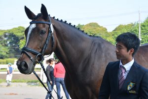 第37回全日本ヤング総合馬術大会2016