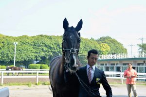 第37回全日本ヤング総合馬術大会2016