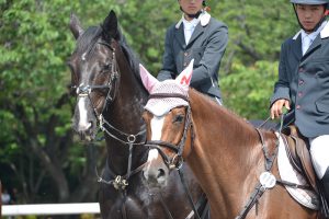 第37回全日本ヤング総合馬術大会2016