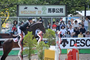 第37回全日本ヤング総合馬術大会2016