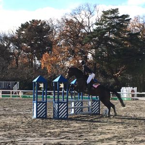 2012dec_horsetrial06