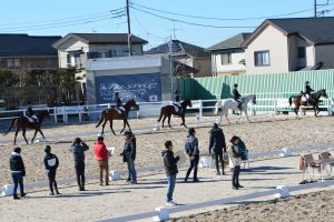 mutsuaihorseshow_03