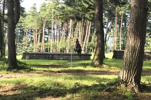 summerhorseshow2017_03