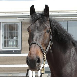 13_桜勇01